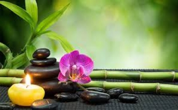 Điều bí mật giản dị của hạnh phúc